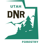 DNR Forestry