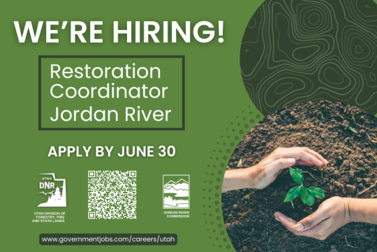 Now Hiring Post - Vegetation Project Coordinator (816 x 546 px) - for website (1)